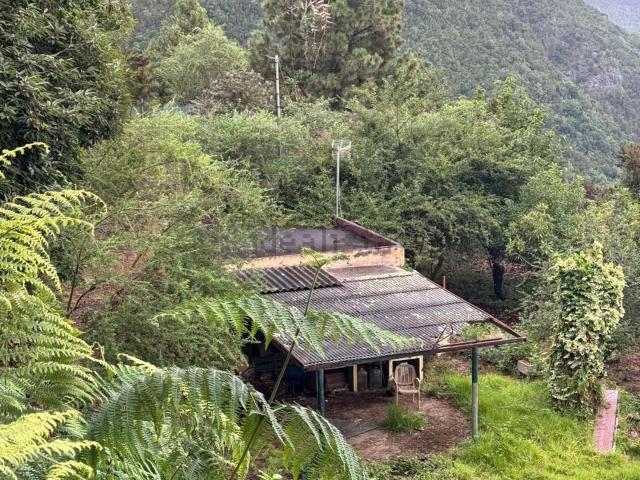 Terreno en venta en Realejo Alto, Los Realejos