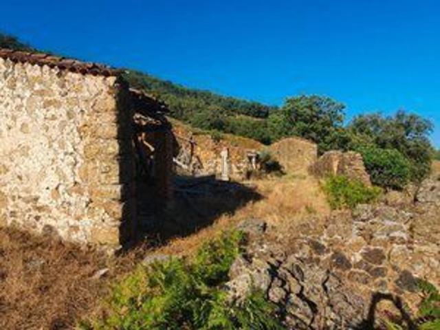 Terreno en venta en Losar De La Vera, Extremadura