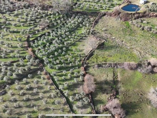 Terreno en venta en Jarandilla De La Vera, Extremadura