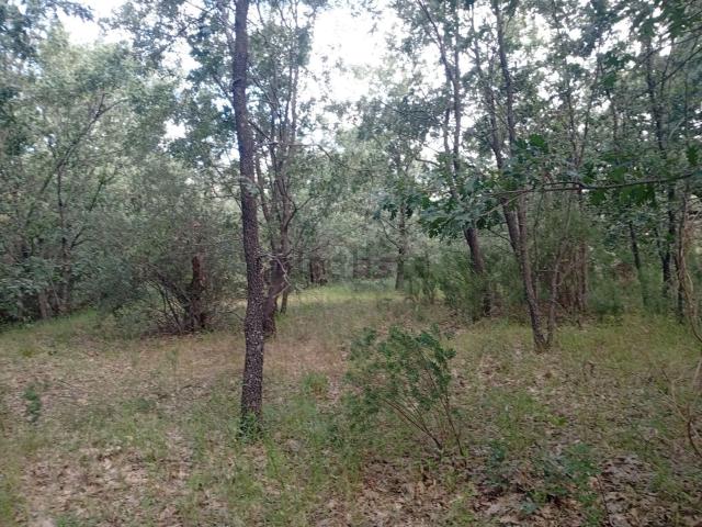 Terreno en venta en Losar De La Vera, Extremadura