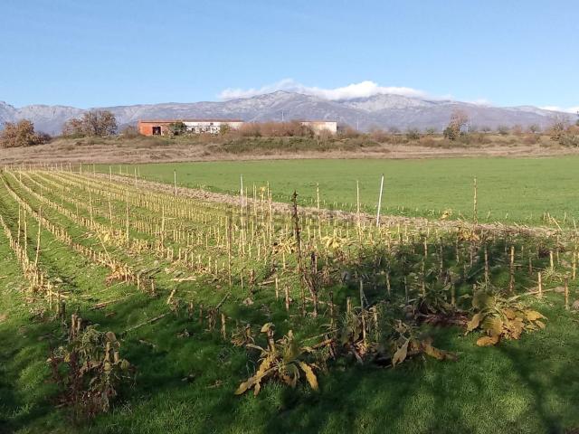 Terreno en venta en Losar De La Vera, Extremadura