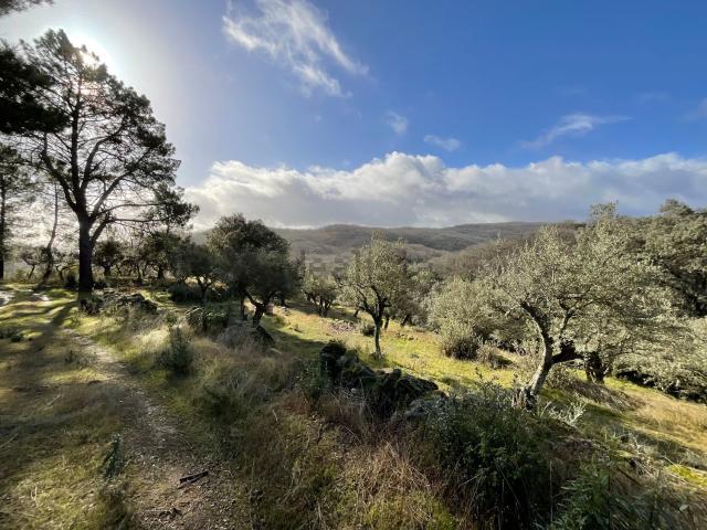 Terreno en venta en Losar De La Vera, Extremadura