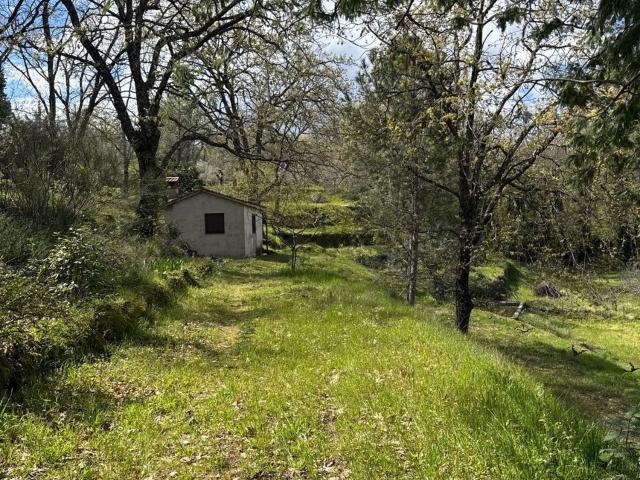 Terreno en venta en Losar De La Vera, Extremadura