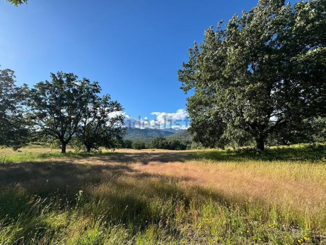 Terreno en venta en Viandar De La Vera, Extremadura