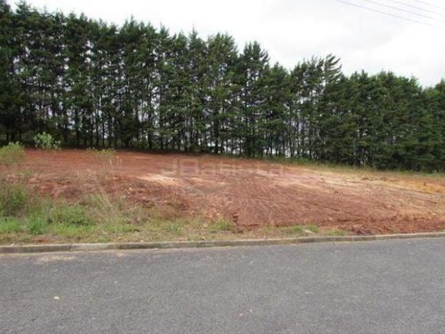 Terreno venda em Região Geográfica Imediata de Curitiba, Região Metropolitana de Curitiba