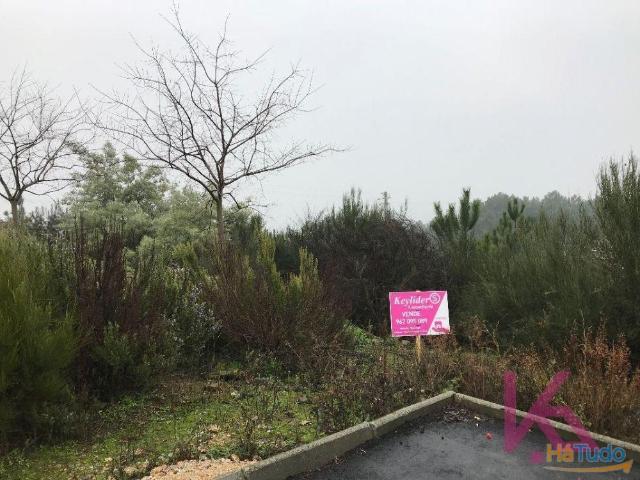 Terreno venda em Sabrosa, Vila Real