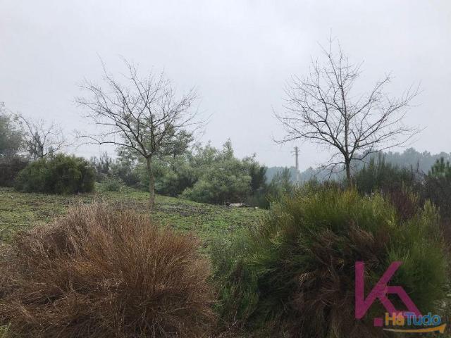 Terreno venda em Sabrosa, Vila Real
