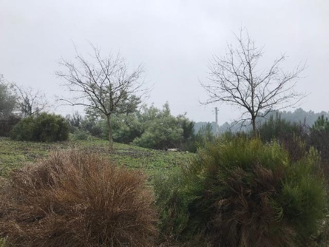 Terreno venda em Sabrosa, Vila Real