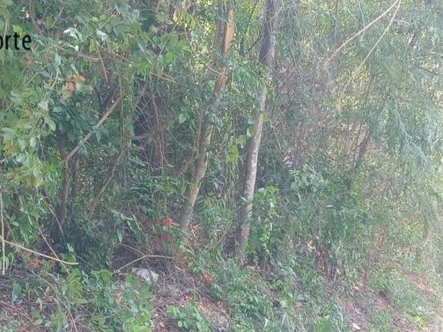 Terreno venda em Região Geográfica Imediata de Belo Horizonte, Região Metropolitana de Belo Horizonte