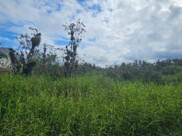 Terreno venda em Região Geográfica Imediata de Paranaguá, Matinhos
