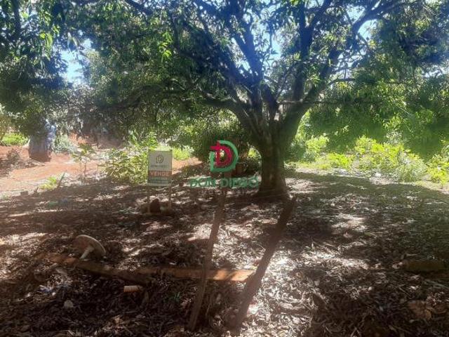 Terreno venda em Região Geográfica Imediata de Londrina, Londrina