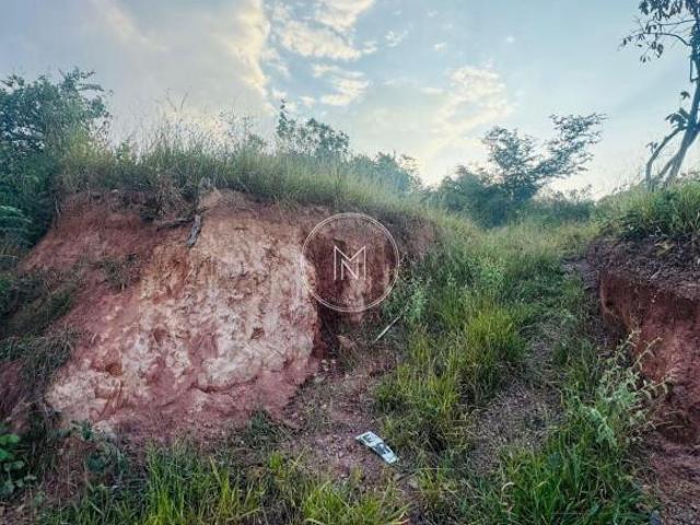 Terreno venda em Tereza Cristina, São Joaquim de Bicas