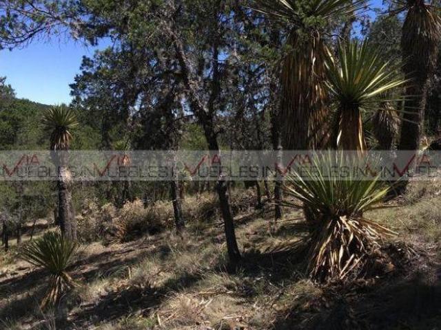 Rancho en venta en Las Cabañas