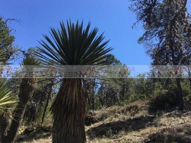 Rancho en venta en Las Cabañas