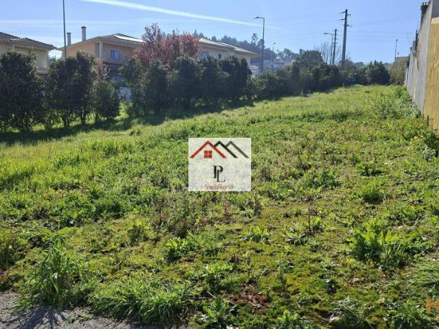 Terreno venda em Coimbrã, Coimbra