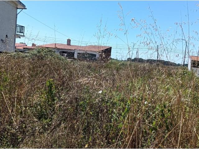 Terreno venda em Ílhavo, Aveiro
