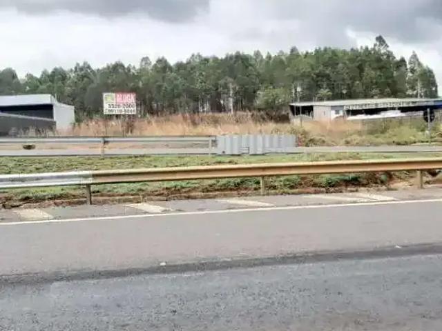 Terreno aluguel em Região Geográfica Imediata de Anápolis, Anápolis