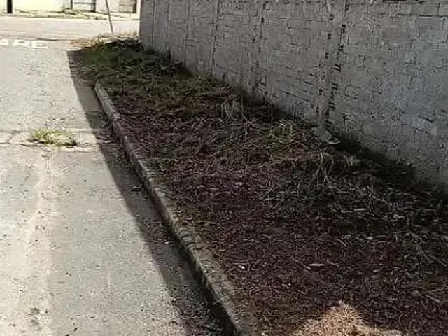 Terreno aluguel em Região Geográfica Imediata de Anápolis, Anápolis