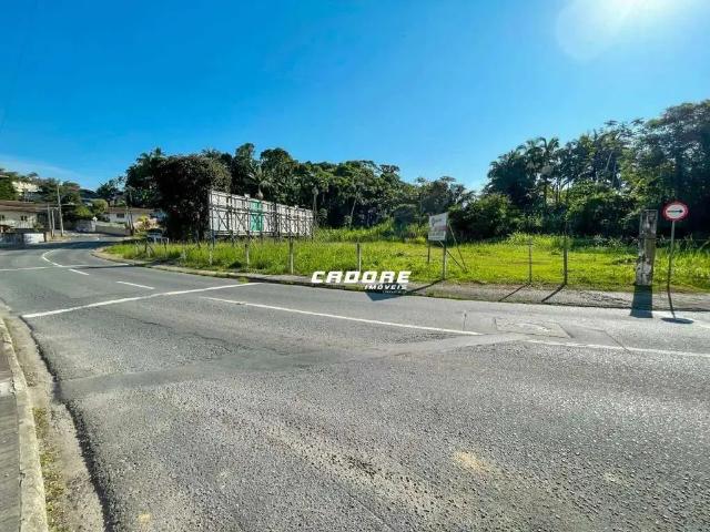 Terreno aluguel em Região Geográfica Imediata de Blumenau, Blumenau
