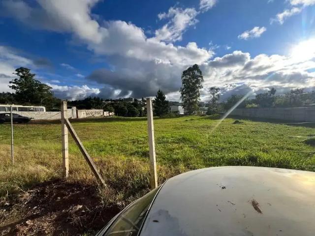 Terreno aluguel em Cajamar