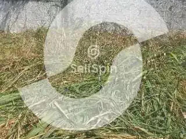 Terreno aluguel em Região Geográfica Imediata do Rio de Janeiro, Região Metropolitana do Rio de Janeiro