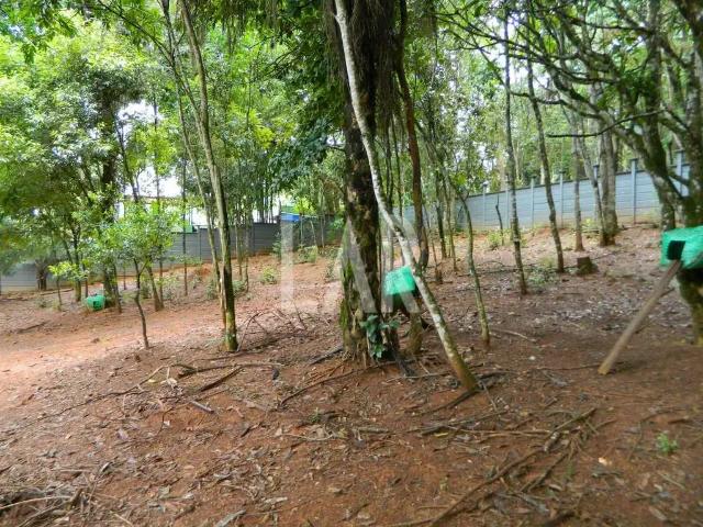 Terreno aluguel em Região Geográfica Imediata de Belo Horizonte, Região Metropolitana de Belo Horizonte