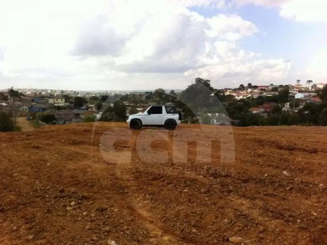Terreno aluguel em Região Geográfica Imediata de Ponta Grossa, Ponta Grossa