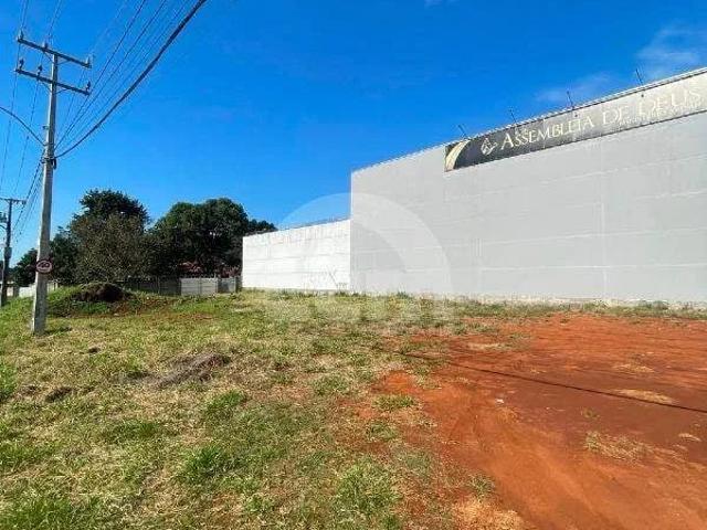 Terreno aluguel em Cará-Cará, Ponta Grossa