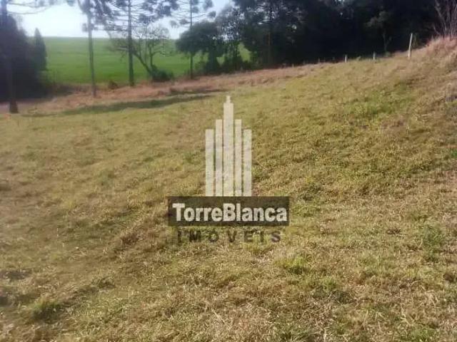 Terreno aluguel em Região Geográfica Imediata de Ponta Grossa, Ponta Grossa