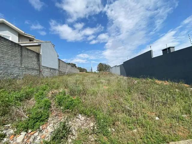 Terreno aluguel em Região Geográfica Imediata de Ponta Grossa, Ponta Grossa
