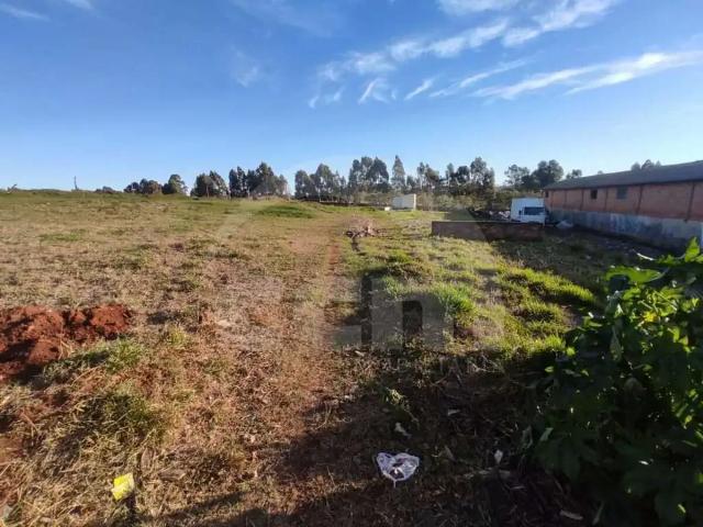Terreno aluguel em Região Geográfica Imediata de Ponta Grossa, Ponta Grossa