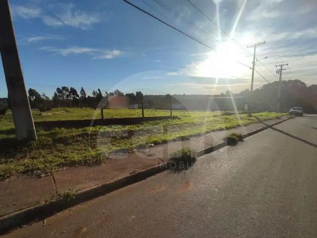 Terreno aluguel em Região Geográfica Imediata de Ponta Grossa, Ponta Grossa