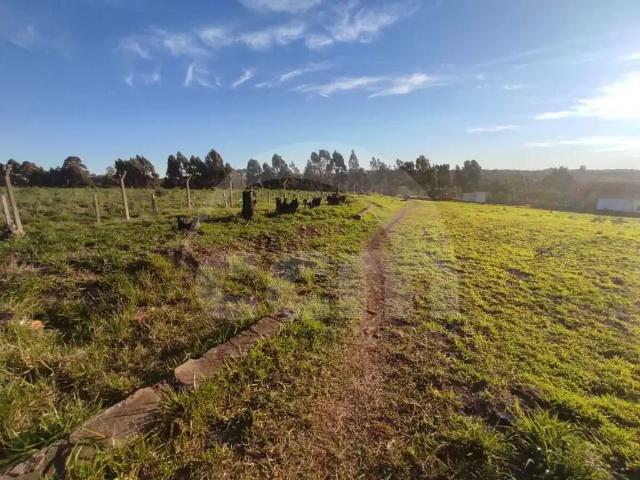 Terreno aluguel em Região Geográfica Imediata de Ponta Grossa, Ponta Grossa
