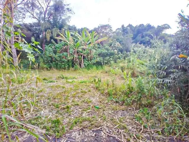 Terreno aluguel em Região Imediata de São Paulo, Região Metropolitana de São Paulo
