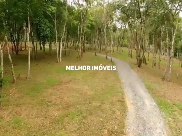 Terreno venda em Região Geográfica Imediata de Rio do Sul, Agronômica
