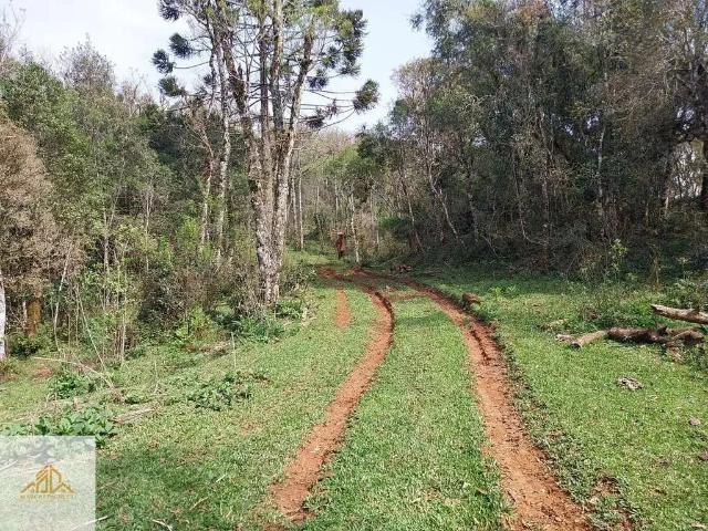 Terreno venda em Água doce, Região Sul