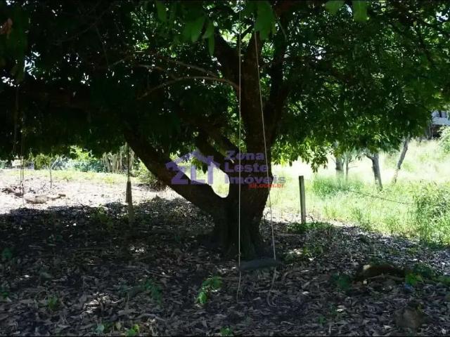 Terreno venda em Região Imediata de São João da Boa Vista, Águas da Prata