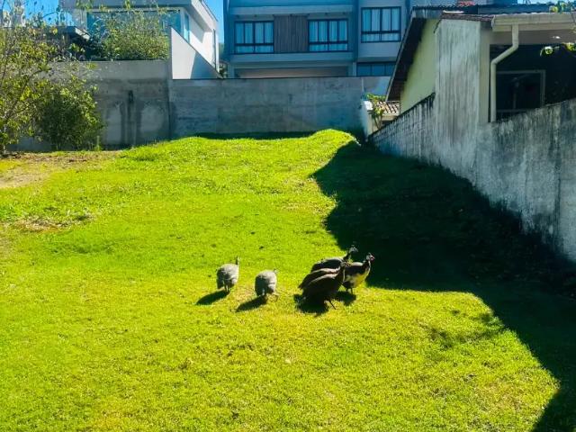 Terreno venda em Região Imediata de Amparo, Águas de Lindoia
