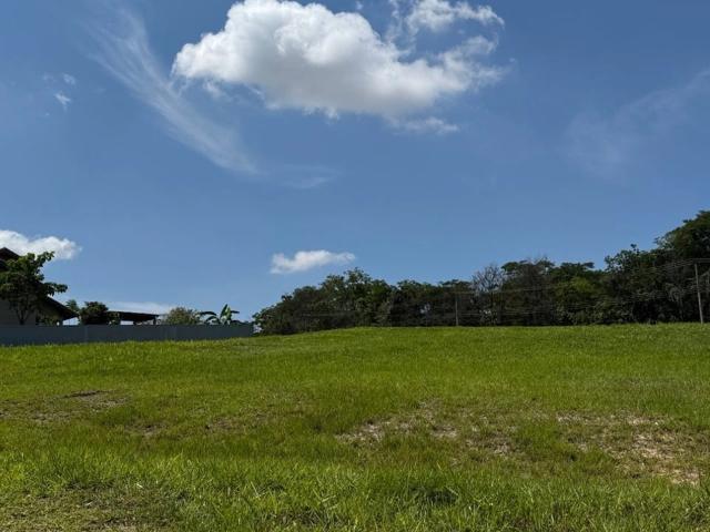 Terreno venda em Jardim Rachel, Águas de Santa Bárbara