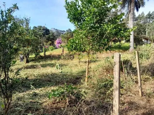 Terreno venda em Região Geográfica Imediata de Florianópolis, Águas Mornas