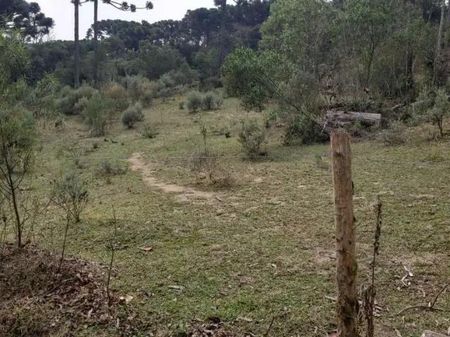 Terreno venda em Região Geográfica Imediata de Curitiba, Região Metropolitana de Curitiba