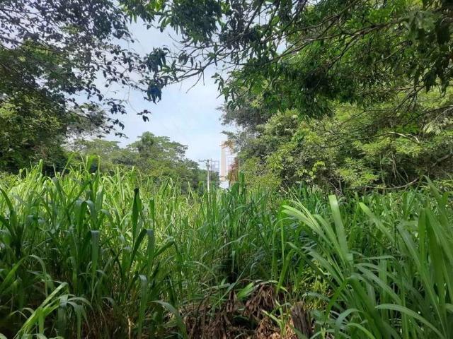 Terreno venda em Agudos, Região Geográfica Intermediária de Bauru
