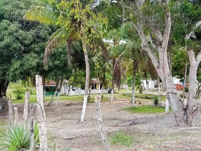 Terreno venda em Inocop, Alagoinhas