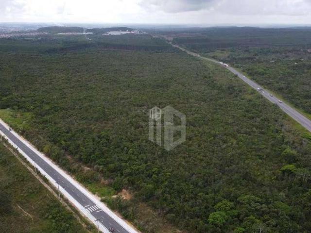 Terreno venda em Região Geográfica Imediata de Alagoinhas, Alagoinhas