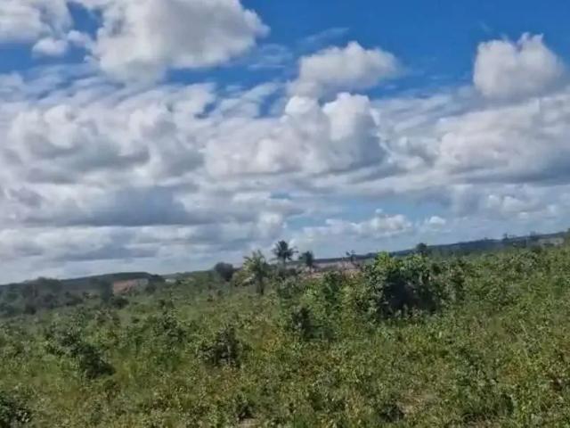 Terreno venda em Alagoinhas, Região Geográfica Intermediária de Salvador