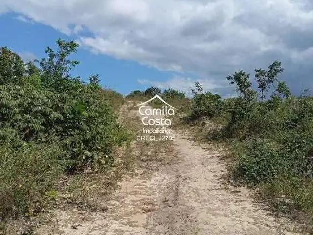 Terreno venda em Região Geográfica Imediata de Alagoinhas, Alagoinhas