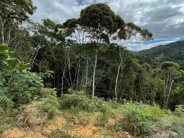 Terreno venda em Região Geográfica Imediata de Vitória, Alfredo Chaves
