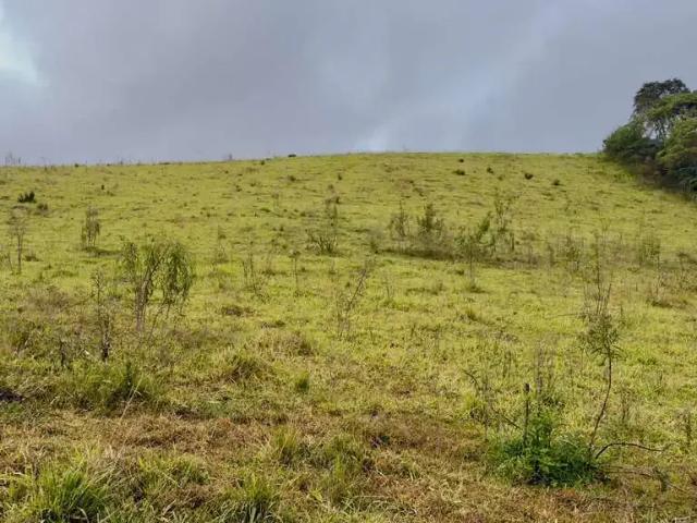 Terreno venda em Região Geográfica Imediata de Florianópolis, Alfredo Wagner