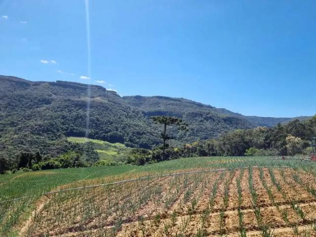 Terreno venda em Região Geográfica Imediata de Florianópolis, Alfredo Wagner