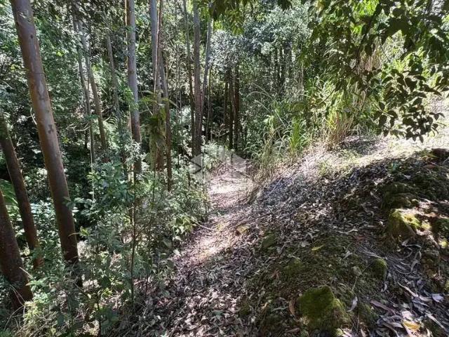 Terreno venda em Região Geográfica Imediata de Florianópolis, Alfredo Wagner